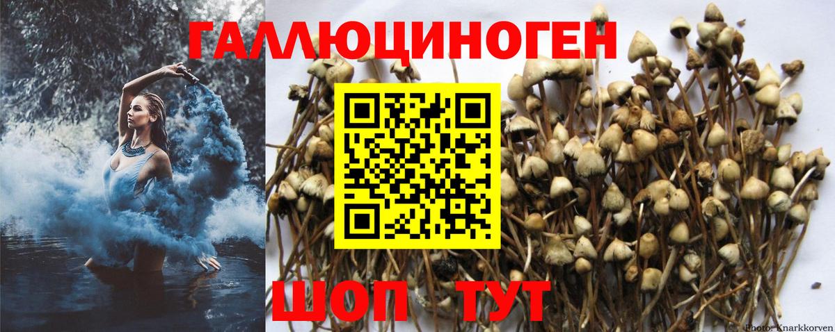Галлюциногенные грибы мицелий Жигулёвск