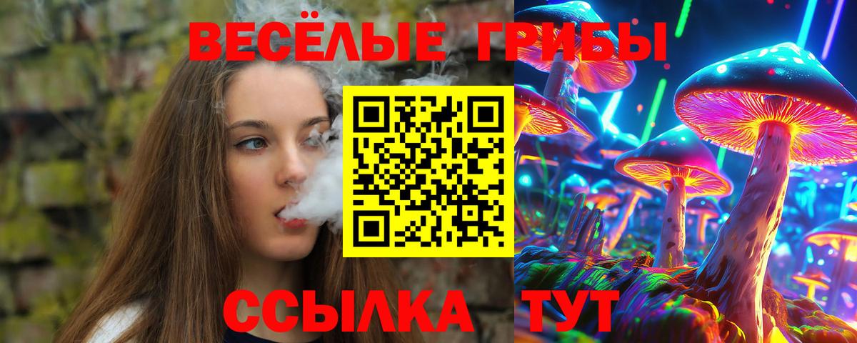 Жигулёвск  Галлюциногенные грибы MAGIC MUSHROOMS  Вход с VPN 